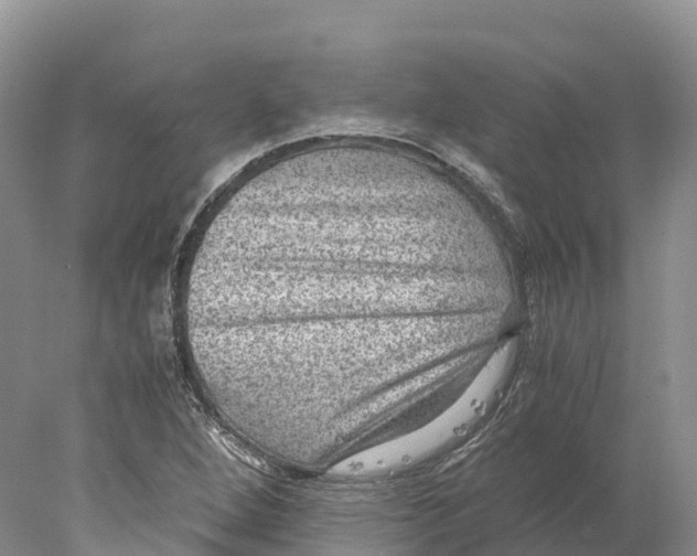 X0000078001264200611251428