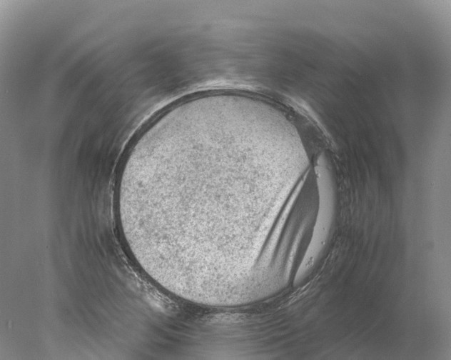 X0000078001268200611251428