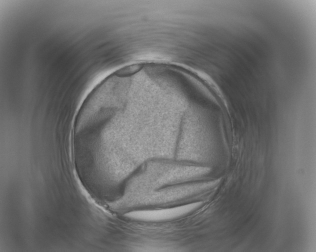 X0000078001295200611251427
