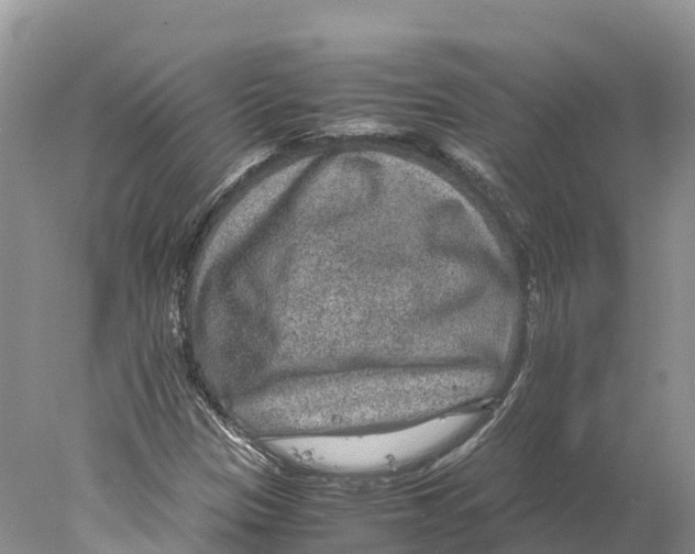 X0000078001305200611251427