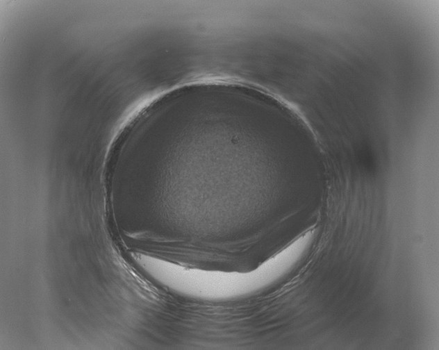 X0000078001319200611251427