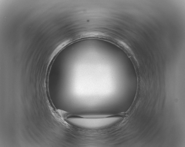 X0000078001330200611251427