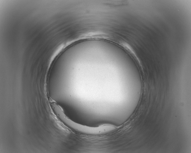 X0000078001336200611251427