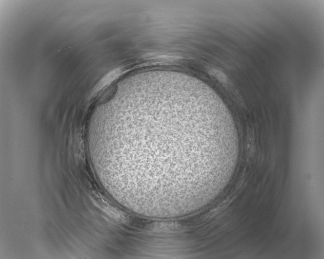 X0000078001354200611251426