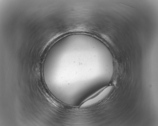 X0000078001356200611251426
