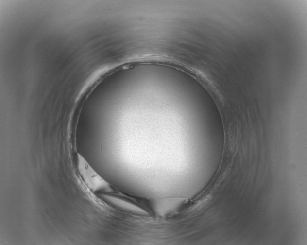 X0000078001422200611251425