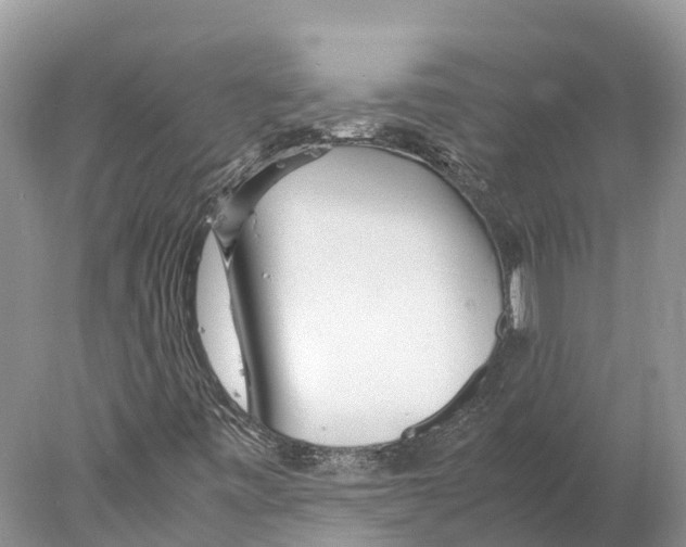 X0000078001443200611251425