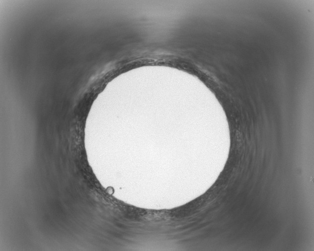 X0000078001447200611251425
