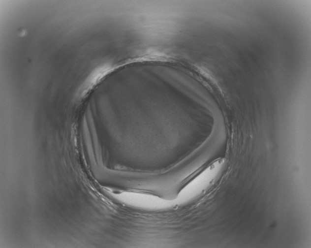 X0000078001455200611251425