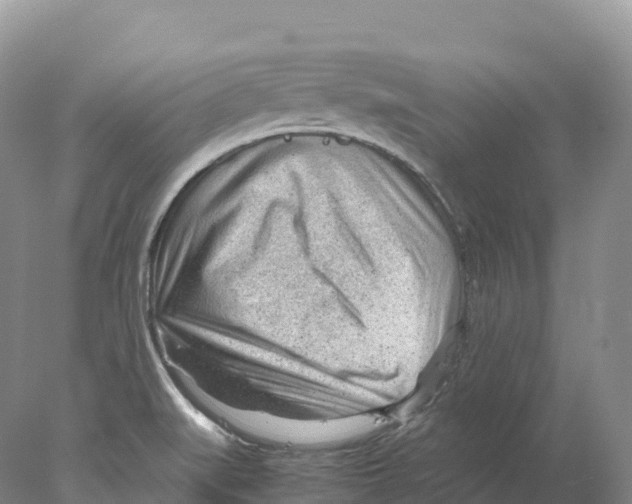 X0000078001519200611251424