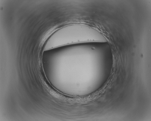 X0000078010005200610270959