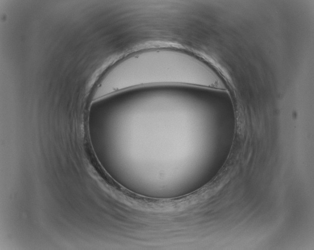 X0000078010015200610270959