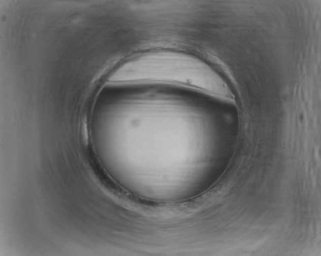 X0000078010020200610270959