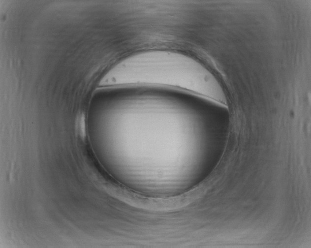 X0000078010027200610270959