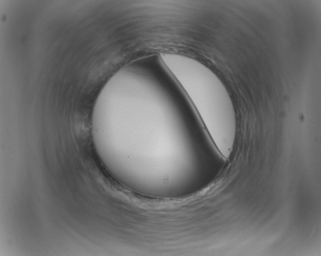 X0000078010040200610270959