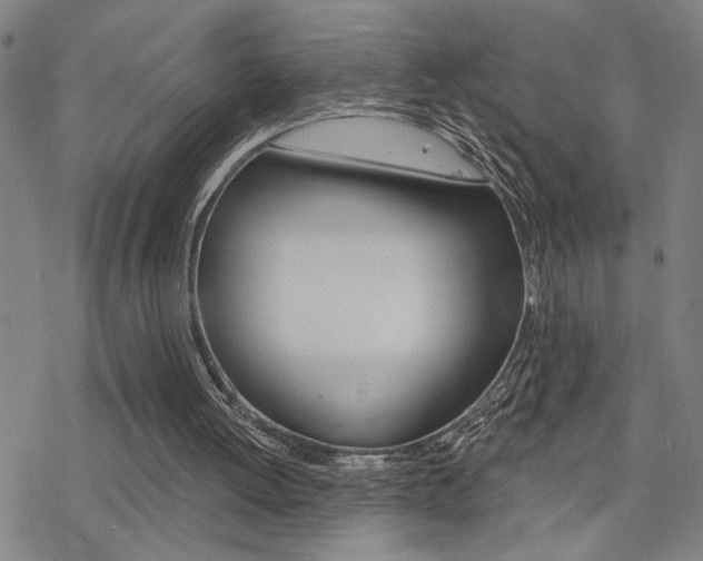X0000078010052200610270958