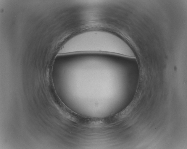 X0000078010066200610270958