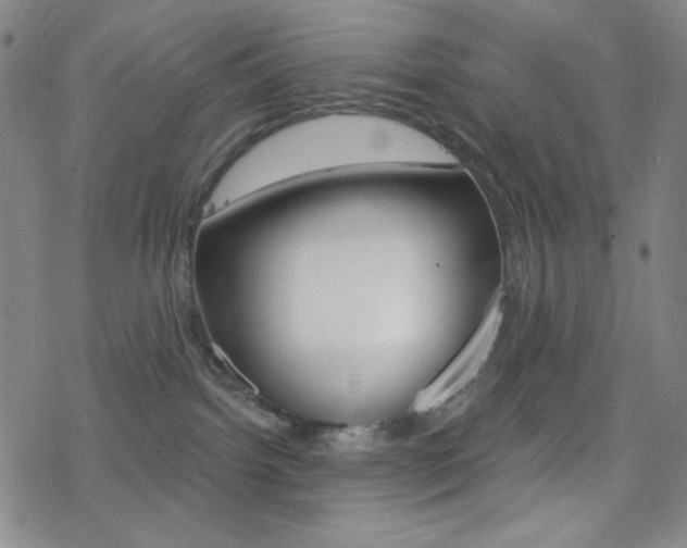 X0000078010092200610270958