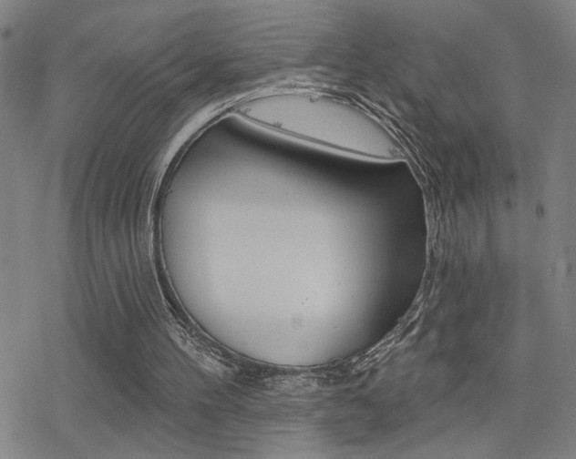 X0000078010100200610270958