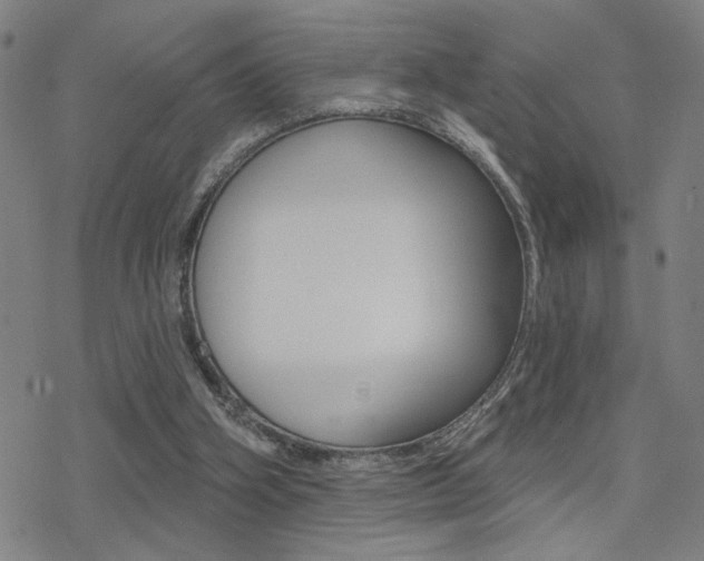 X0000078010106200610270958