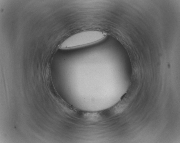 X0000078010133200610270957