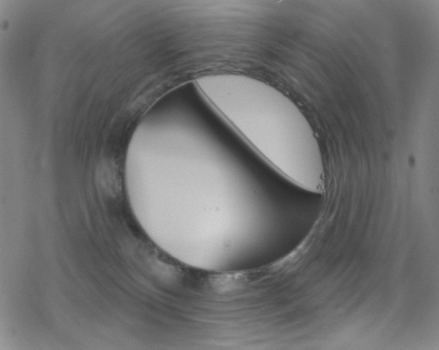 X0000078010136200610270957