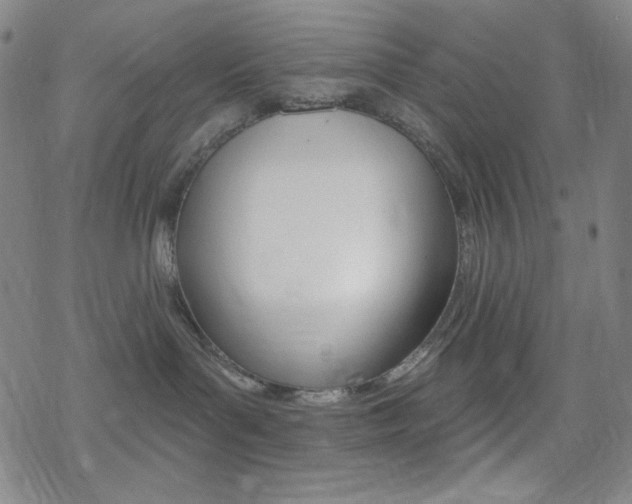 X0000078010143200610270957