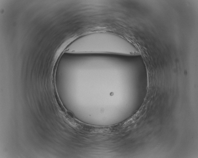 X0000078010147200610270956