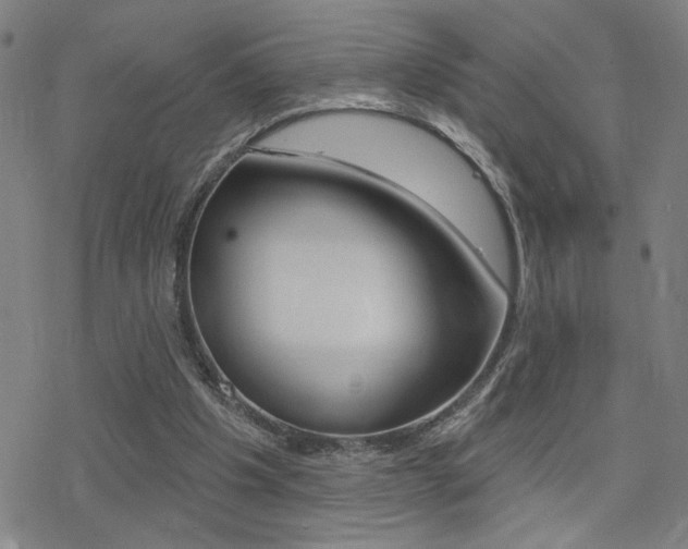 X0000078010201200610270956