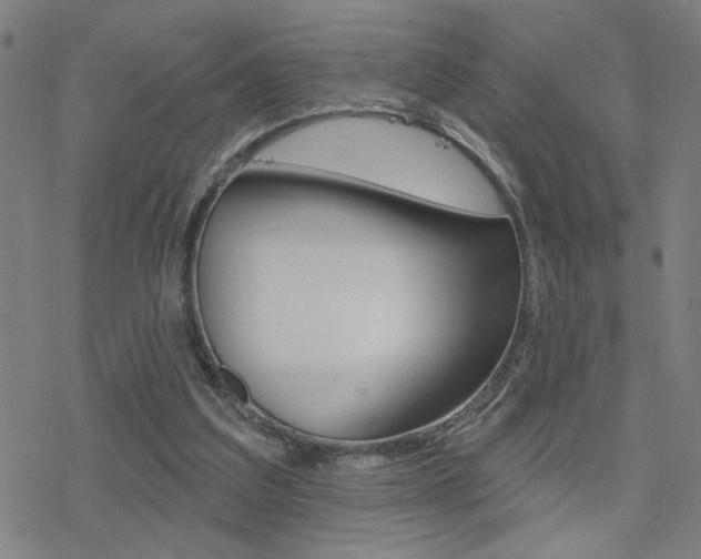 X0000078010203200610270956