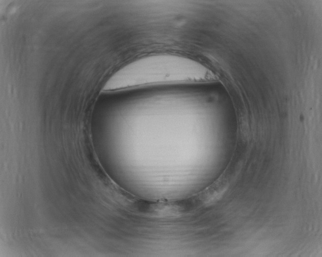 X0000078010221200610270956
