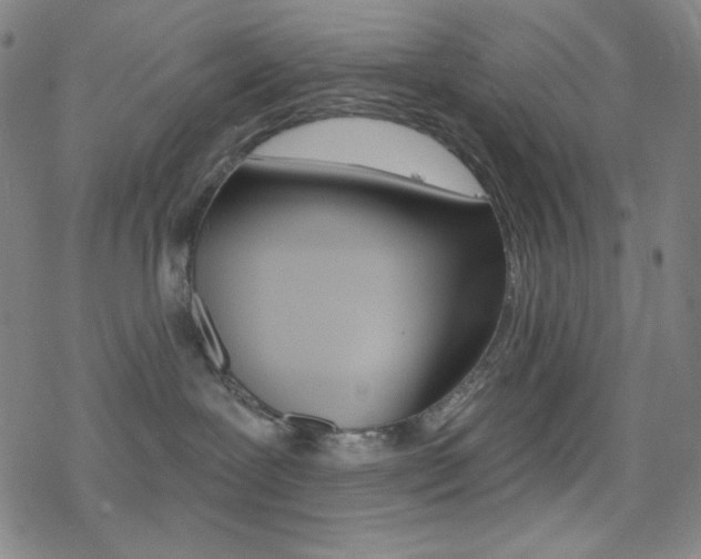 X0000078010239200610270955