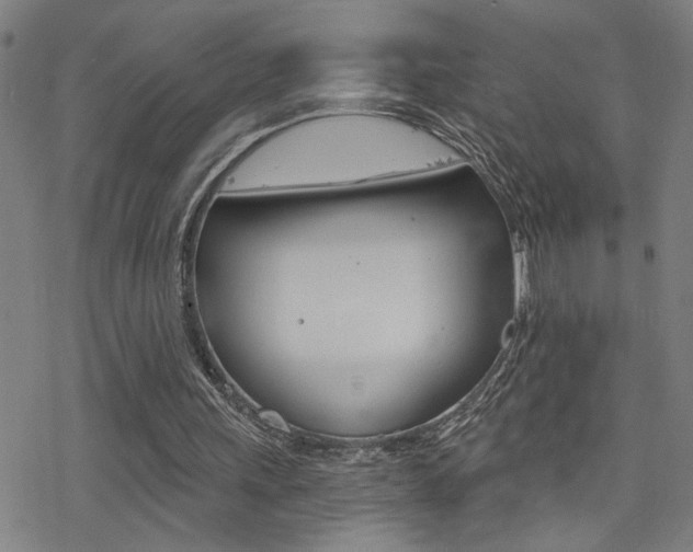 X0000078010243200610270955