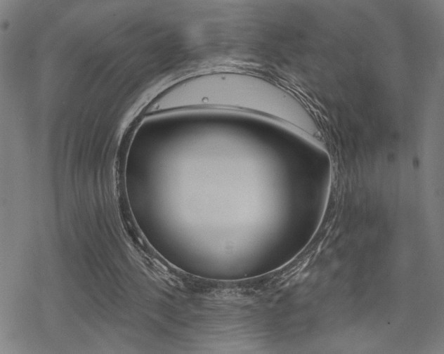 X0000078010244200610270955