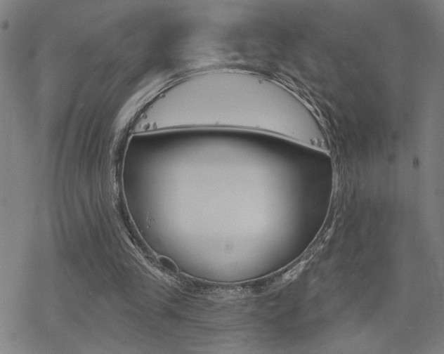 X0000078010245200610270955