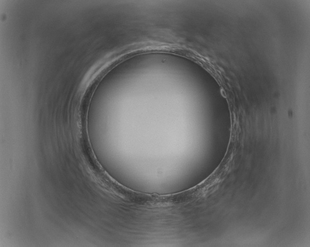 X0000078010247200610270955