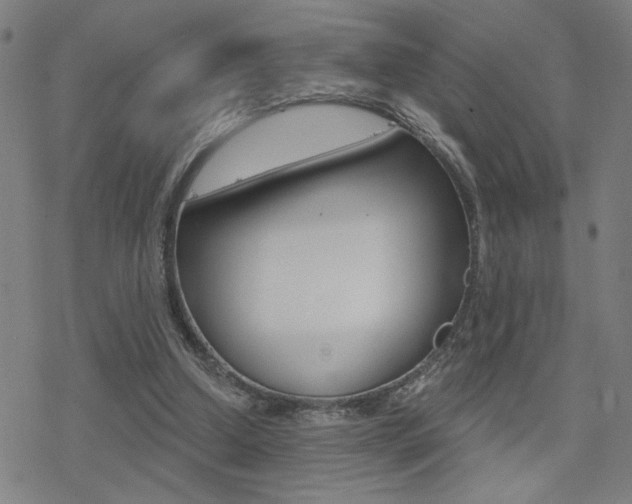 X0000078010250200610270955