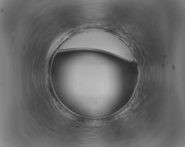 X0000078010293200610270955