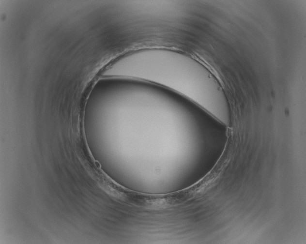 X0000078010301200610270954
