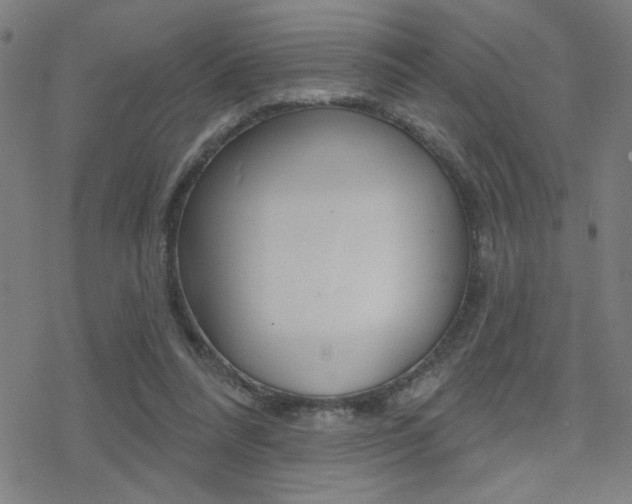 X0000078010304200610270954