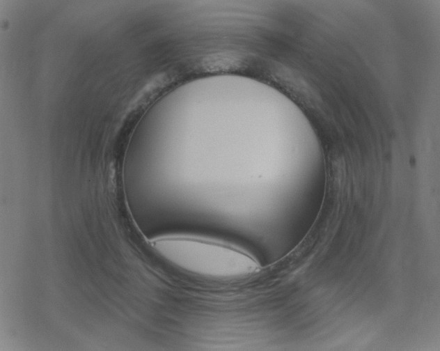 X0000078010308200610270954