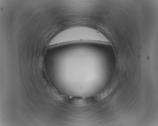 X0000078010325200610270954
