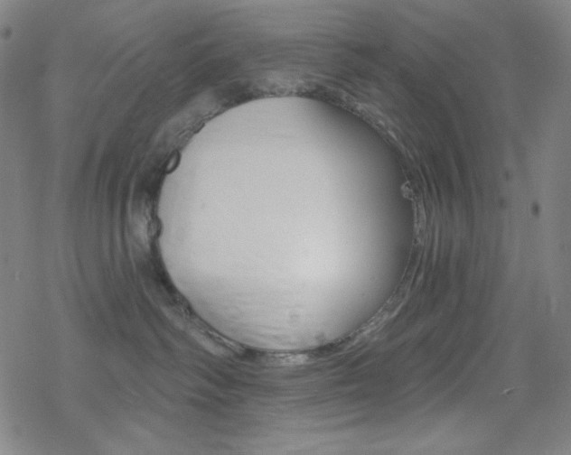 X0000078010334200610270954