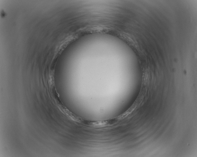 X0000078010335200610270954