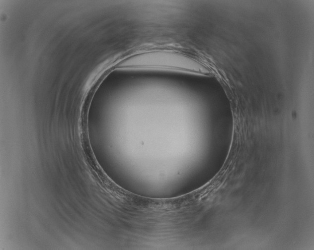 X0000078010340200610270953