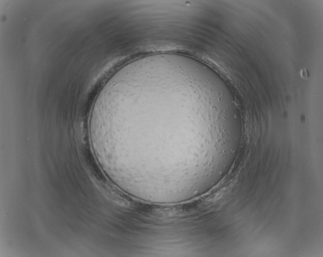 X0000078010351200610270953