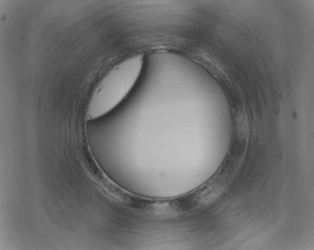 X0000078010406200610270953