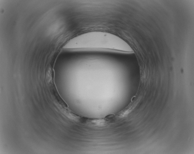 X0000078010478200610270952