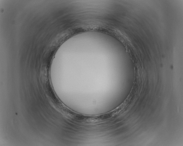 X0000078010498200610270951