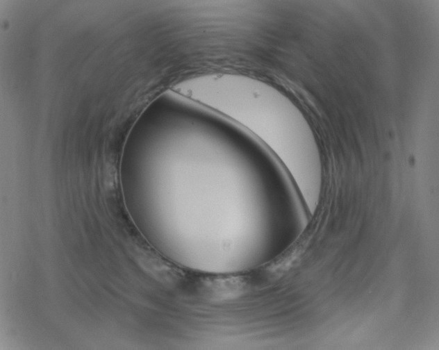 X0000078010517200610270951